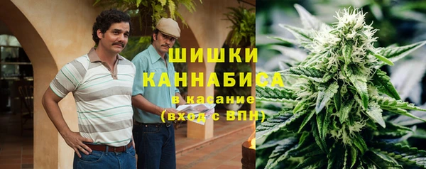 винт Алексин
